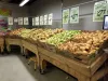 grocery-store-in-fort-worth.webp