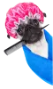 Dog Grooming Services | Pet Grooming Services | Dog Groomers - Petsfolio