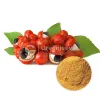 Top Guarana Extract Supplier | Bulk Guarana Extract Powder supplier