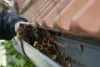 The Best Perks of Gutter Cleaning in Walton-on-Thames