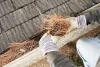 Professional assistance for window cleaning in North York