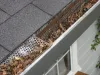 5 Warning Signs That Your Gutters Need Cleaning