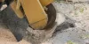 Pointers to be aware before availing tree removal services