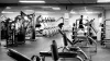 Which are the Gym fitness equipment available online? – Wilder Gym Equipment