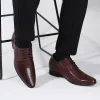 Order Online Brown Elevator Shoes