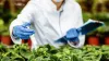 HACCP Certified Pest Control Services
