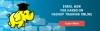 Top 5 Essential Skills Every Big Data Hadoop Expert Should Have!