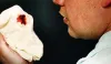 Nosebleed Treatment - Natural Remedies for Nose Bleeding