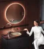 Kohler Mirror with Voice detecting sensor