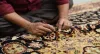 handmade rugs store