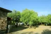Tree Care &amp; Fertilization Services Phoenix - Trees For Needs