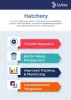 Hatchery Module: A Look Into One of Livine’s Poultry Software Modules | Livine