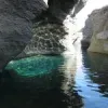trips