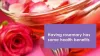 Benefits of Rosemary Essential Oil