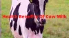 8 Medicinal Health Benefits Of Cow Milk Drinking For Baby