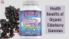 elderberry gummies organic