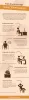 Health Benefits of the Right Home Office Furniture