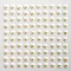 Heart Pearls on Sheet – Ivory - Valentine's Day - Events