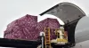 Etihad Cargo launches ‘Freshfoward’ to facilitate cold chain industry – ACAAI NEWS