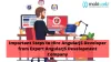 How to Hire AngularJS Developer from Reputed AngularJS Development Company