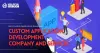 Hire Custom Application Developer 