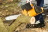 Tree Removal Hobart