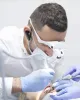 Maintain Best Oral Hygiene With High-end Dental Treatment – Article Post- Bloggers Unite India