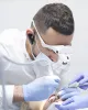 Holistic Dental Melbourne 