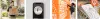 Home Depot Promo Code September 2023 | Home Depot Coupons