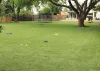 Residential Artificial Grass Turf Dogs Sports Field Playground Putting Green Biscayne Park Florida