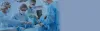Best Urologist in Delhi - Dr Vikram Shah Batra