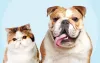VetSupply Max | Wholesale Pet Supplies Australia