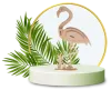 Expert Dubai Web Design Company 