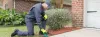 Naturals Pest Extermination: Home Remedies and Tips 