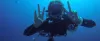 Scuba Diving At Andaman