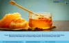 Honey Plant Project Report 2021: Manufacturing Process, Cost and Revenue, Business Plan, Manufacturing Process, Industry Trends, Machinery Requirements, and Raw Materials 2026 – Murphy's Hockey Law