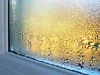 Trusted Window Replacement in Wisconsin | Next Door & Window