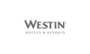 Destination wedding in Italy-Lake Como, Tuscany, Venice, Rome &amp; more