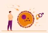 Choosing the Right Fertility Specialist in Dubai to Treat Male Infertility