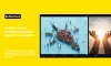 How Do Social Innovation Ideas Impact the World?