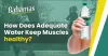 What does adequate water do for your muscles?