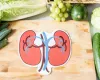 Most 12 Deadly Symptoms Of Kidney Diseases You Shouldnt Ignore - Herbal Care Products - Blog