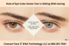 Sibling DNA Testing | Role of Eye Color Genes Test | Face IT DNA