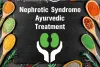 Nephrotic Syndrome Ayurvedic Treatment