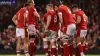 Love the Beautiful Game in Wales Vs Georgia Rugby World Cup