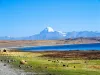 how-much-does-kailash-mansarovar-yatra-via-hilsa-cost-after-the-kerung-flood-bridge-disruption-741275.jpg