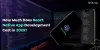 How Much Does React Native App Development Cost in 2025?