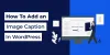 How to Add WordPress Image Caption with a Plugin in WordPress Blog or Site? - Essential Plugin