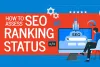 How to Assess SEO Ranking Status - Ilfusion Creative