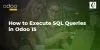   	How to Execute SQL Queries in Odoo 15  